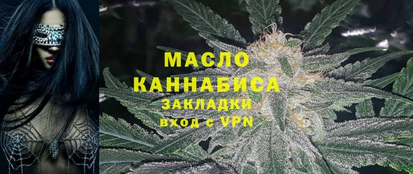 стаф Аркадак
