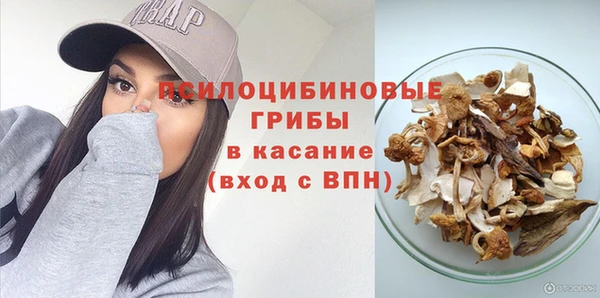 стаф Аркадак