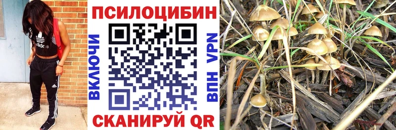 Галлюциногенные грибы Psilocybine cubensis  Харовск 